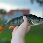 Lesniczowka Szeroki Bór