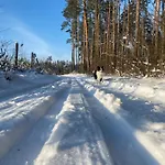 Lesniczowka