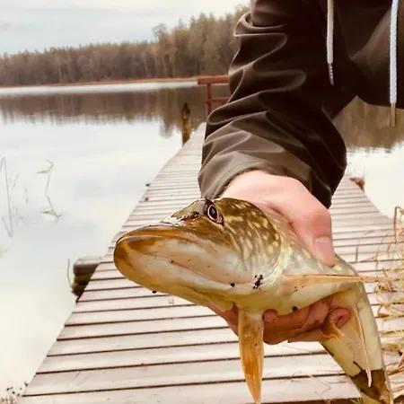 Πανσιόν Lesniczowka