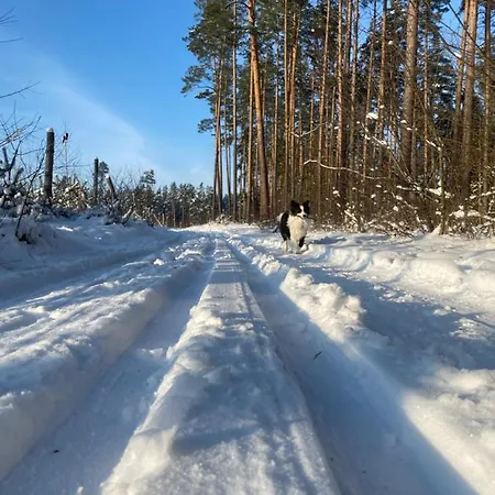 Lesniczowka