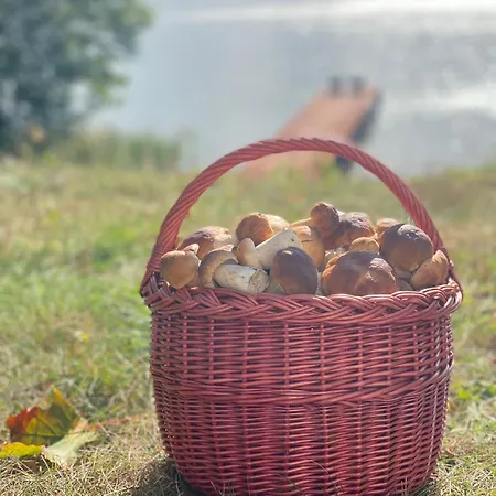 Lesniczowka 3* Szeroki Bór