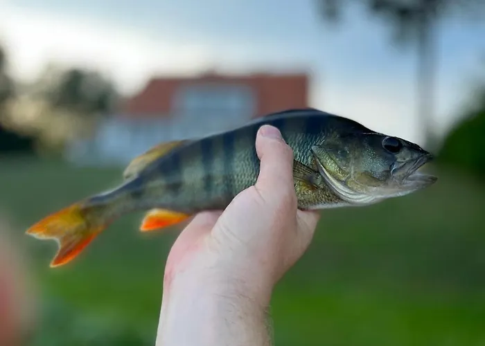 Lesniczowka Szeroki Bór