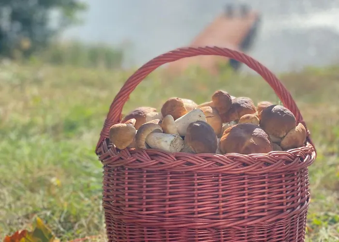 Lesniczowka 3* Szeroki Bór